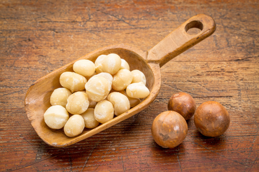 Ronde witte macadamia noten premium kwaliteit